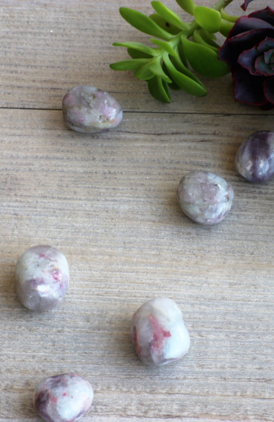 Pink Tourmaline in Quartz Tumbled Stone